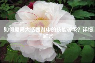 如何提高大话西游中的技能等级？详细解答