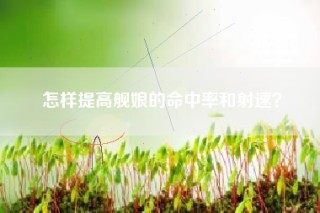 怎样提高舰娘的命中率和射速？