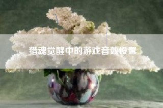 猎魂觉醒中的游戏音效设置