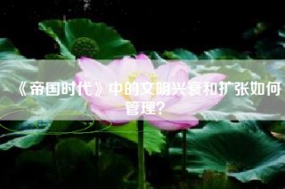 《帝国时代》中的文明兴衰和扩张如何管理？