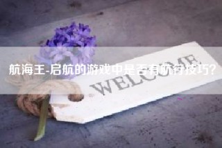 航海王-启航的游戏中是否有航行技巧？