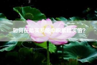 如何在踏实系统中积累踏实值？