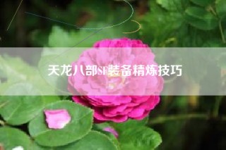 天龙八部SF装备精炼技巧