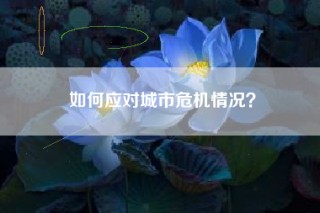 如何应对城市危机情况？