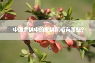 中国象棋中的象棋风格有哪些？