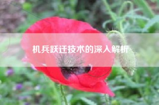机兵跃迁技术的深入解析