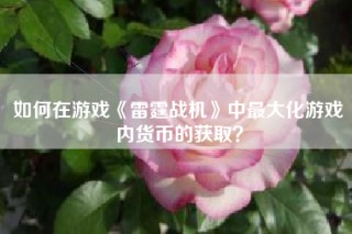 如何在游戏《雷霆战机》中最大化游戏内货币的获取？