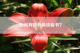 如何有效升级技能书？