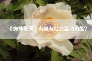 《蜘蛛纸牌》有没有社交互动功能？