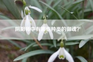 阴阳师中有哪些种类的御魂？