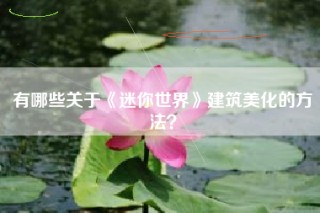 有哪些关于《迷你世界》建筑美化的方法？