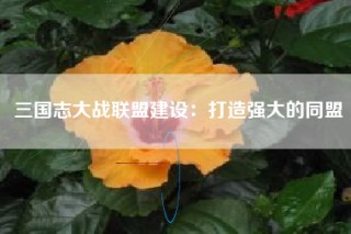 三国志大战联盟建设：打造强大的同盟