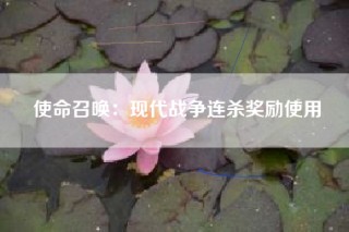 使命召唤：现代战争连杀奖励使用