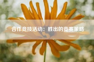 合作竞技活动：胜出的竞赛策略