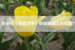 如何在《皇室战争》中组建强大的部落？