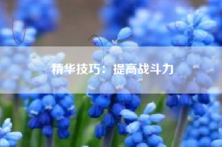 精华技巧：提高战斗力