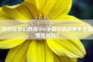 如何在梦幻西游SFSF手游中获得更多圣物图鉴碎片？