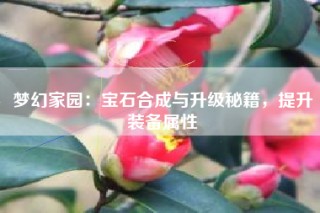 梦幻家园：宝石合成与升级秘籍，提升装备属性