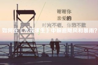 如何在《木筏求生》中躲避飓风和暴雨？