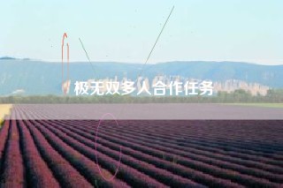 极无双多人合作任务