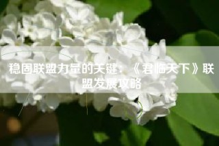 稳固联盟力量的关键：《君临天下》联盟发展攻略