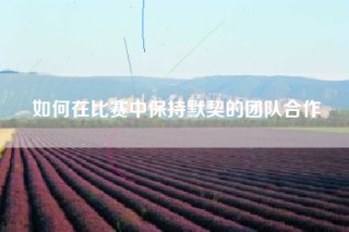 如何在比赛中保持默契的团队合作