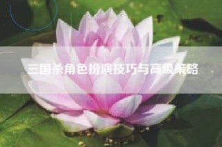 三国杀角色扮演技巧与高级策略