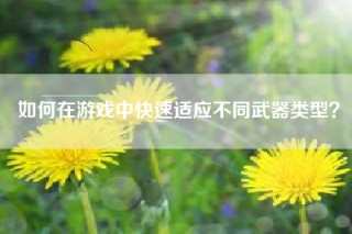 如何在游戏中快速适应不同武器类型？