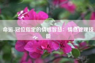 命运-冠位指定的情感智慧：情感管理技能