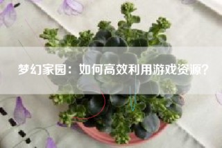 梦幻家园：如何高效利用游戏资源？