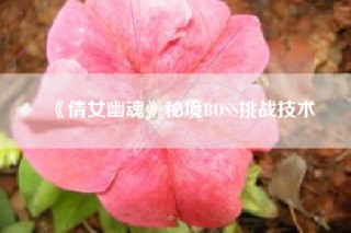 《倩女幽魂》秘境BOSS挑战技术