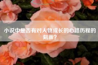 小说中是否有对人物成长的心路历程的刻画？