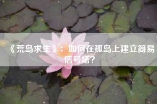 《荒岛求生》：如何在孤岛上建立简易信号塔？