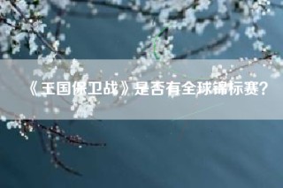 《王国保卫战》是否有全球锦标赛？