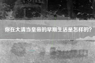 你在大清当皇帝的早期生活是怎样的？