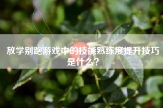放学别跑游戏中的技能熟练度提升技巧是什么？