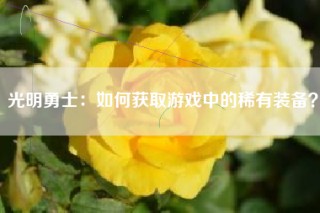 光明勇士：如何获取游戏中的稀有装备？