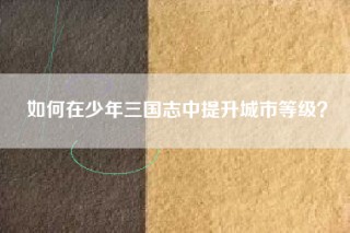 如何在少年三国志中提升城市等级？