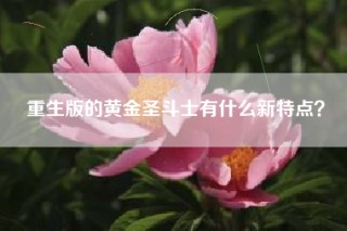 重生版的黄金圣斗士有什么新特点？
