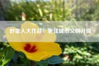 野蛮人大作战：更佳城市文明升级