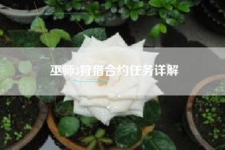 巫师3狩猎合约任务详解