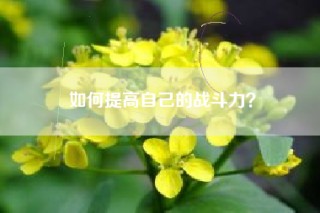 如何提高自己的战斗力？