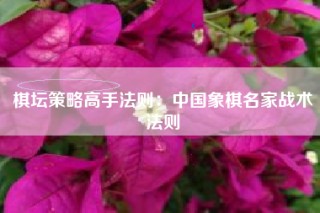 棋坛策略高手法则：中国象棋名家战术法则