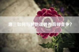 唐三如何与其他魂兽养育师竞争？
