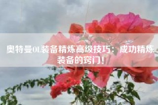 奥特曼OL装备精炼高级技巧：成功精炼装备的窍门！