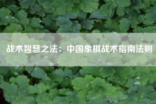 战术智慧之法：中国象棋战术指南法则