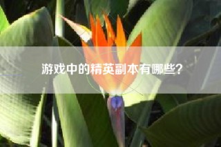 游戏中的精英副本有哪些？