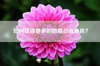 如何获得更多的隐藏忍者角色？