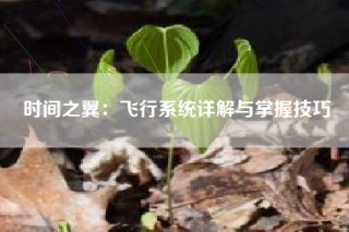时间之翼：飞行系统详解与掌握技巧