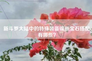 新斗罗大陆中的特殊装备镶嵌宝石搭配有哪些？